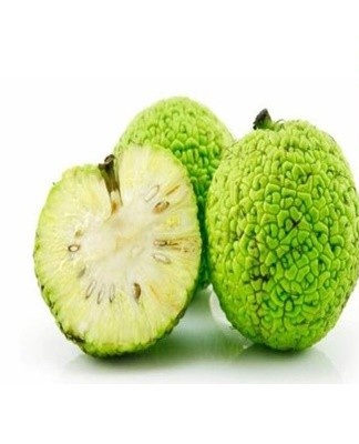 It is difficult to find medicines based on Adam's apple in pharmacies.