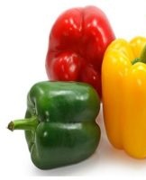 How to properly store peppers at home, terms and conditions