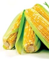 How can you save corn on the cob for the winter, rules and location