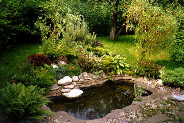 english pond