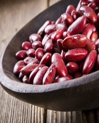 It is important to bear in mind that it is forbidden to use such beans as planting material.