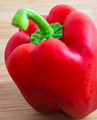 They choose dark places, if this is not possible, then cover the peppers with a cloth and thick paper.