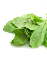 13 best ways to keep sorrel at home for the winter