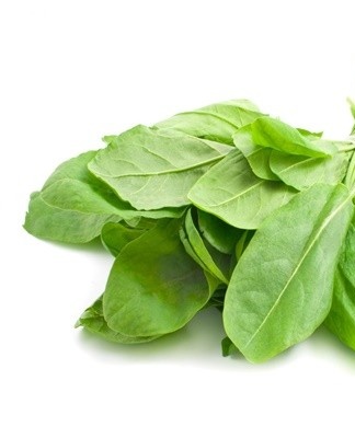 Often the sorrel is left to dry in an open place in the sun.