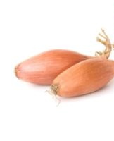 How and where is it better to store vegetables at home, rules and selection of temperature