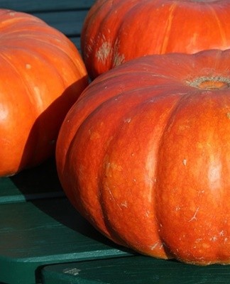 A whole pumpkin can be stored in a cool, dark place.