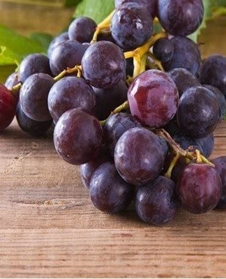 Dark varieties with good transportability can be stored for up to 5 months.