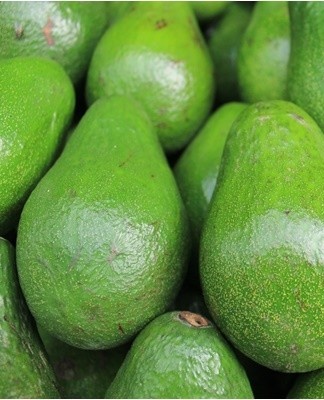 If the fruit is too hard, it means it is still ripening.