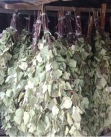 How to properly store birch brooms for a bath and choose the best place for the winter