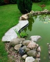 Step-by-step instructions on how to make a pond with your own hands in the country