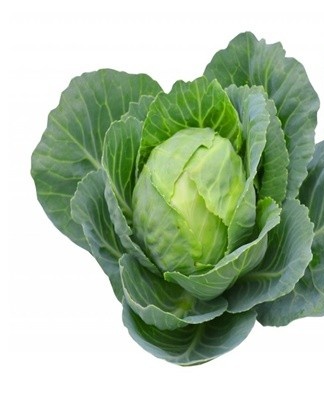 Rules and best ways to store cabbage at home