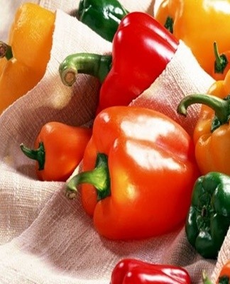 Peppers are kept in cool rooms for the winter.