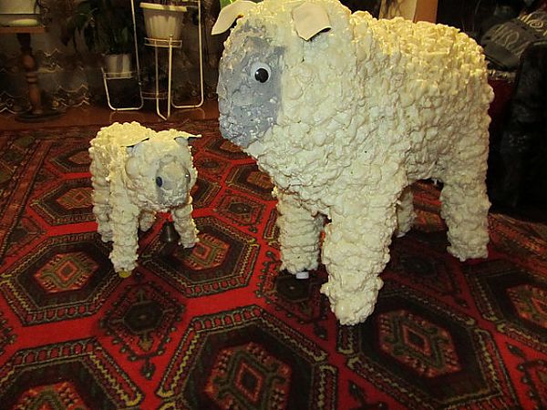 two sheep