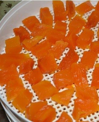 If you have an electric dryer, you can use this device.