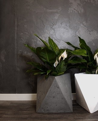 concrete planter