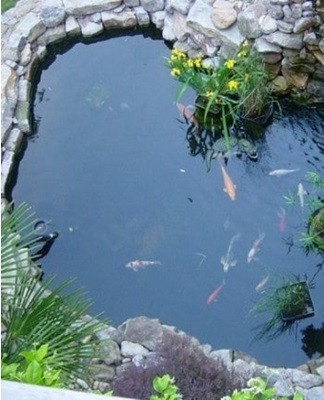 pond at home