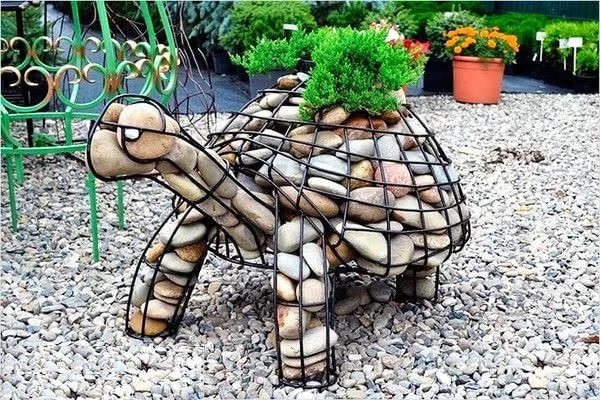 tortoise