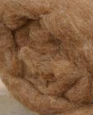 camel wool