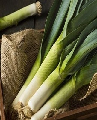 The best ways to store leeks for the winter at home