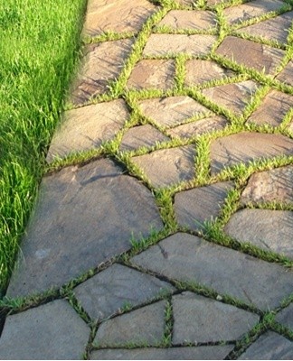 Features and selection of stone slabs for garden paths, DIY laying instructions
