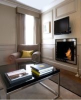 Interior design and decoration of a living room with a fireplace in the house