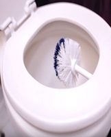 How to clean a toilet brush at home, rules and best tools