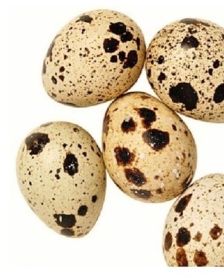 Hard-boiled eggs can be stored in the refrigerator or at room temperature, respecting the expiry date.