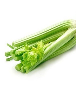  Leaves and stems will not wither, tubers will not rot, will not dry out until spring.