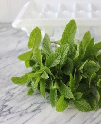 Green vegetables can be stored well for 5 days in a jar of water.