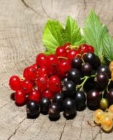 The best ways to preserve mashed currants with sugar at home