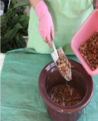 The store sells oval or round expanded clay, packaged in sachets.