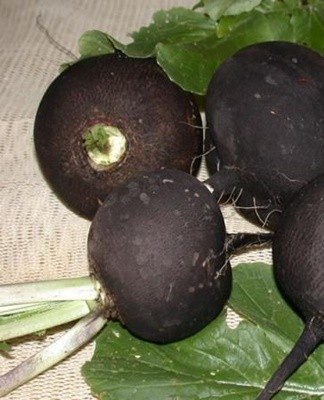 It is also quite good in taste, aroma and has a long shelf life.