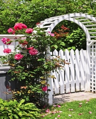 Plastic designs are very popular.