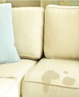 Rules and best ways to quickly dry a sofa from water