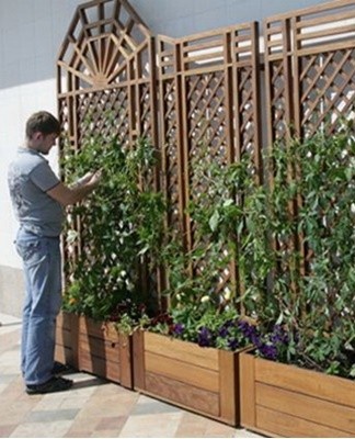 It should be remembered that wooden structures crumble quite quickly.