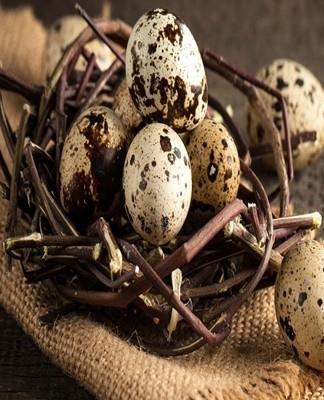 It is allowed to buy these foods only from sellers who can provide a certificate of quality.