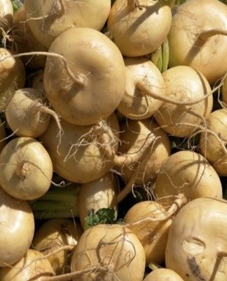 A good option would be to use shelves without slots.