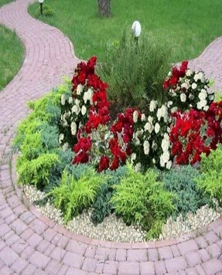 To design such a flower bed, 2 colors are used that are in harmony with each other.