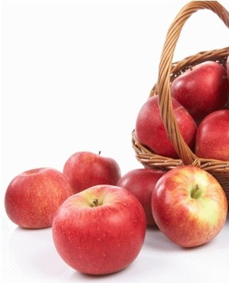 Winter version with firm skin, dense pulp.