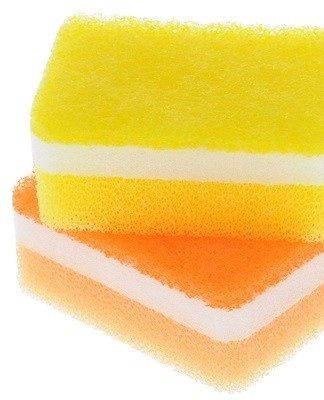 yellow sponge