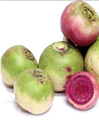 It is very important to choose the right room in which the vegetable will be stored.