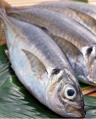 Fish that is not gutted spoils much faster than gutted fish.