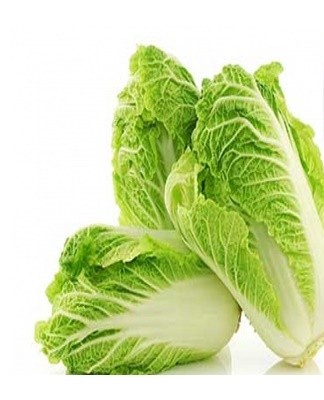 Peking cabbage cut in dry weather is placed in containers, boxes or in bulk with the stump up.