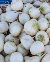 How and where to store turnips at home for the winter