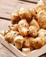 How to store Jerusalem artichoke at home in winter, rules and best methods