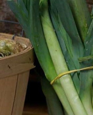 Leek in the cellar
