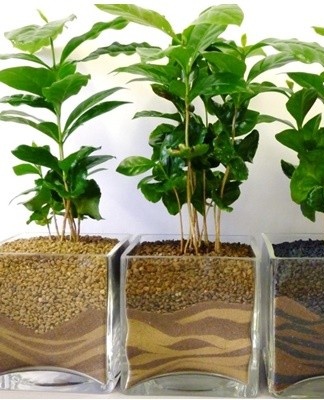 In this case, it is necessary to arrange a high-quality drainage layer.