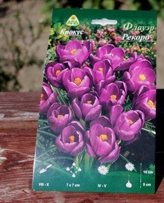 To breed crocuses by the seed method, it is enough to sow them on the site before winter