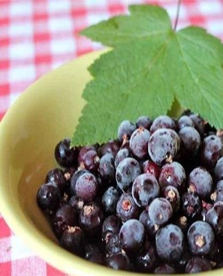 The freezer method is the most effective and easiest way to store berries for a long time.