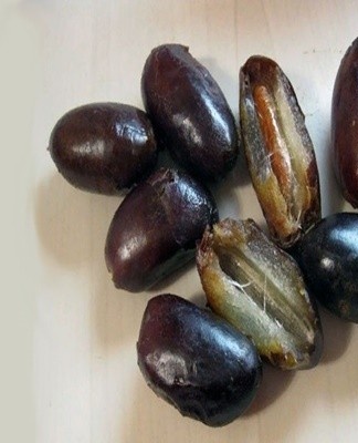 If the fruit was purchased in a different container, it can be transferred to a paper bag.